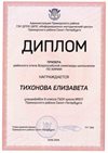 2018-2019 Тихонова Елизавета 9м (РО-химия)